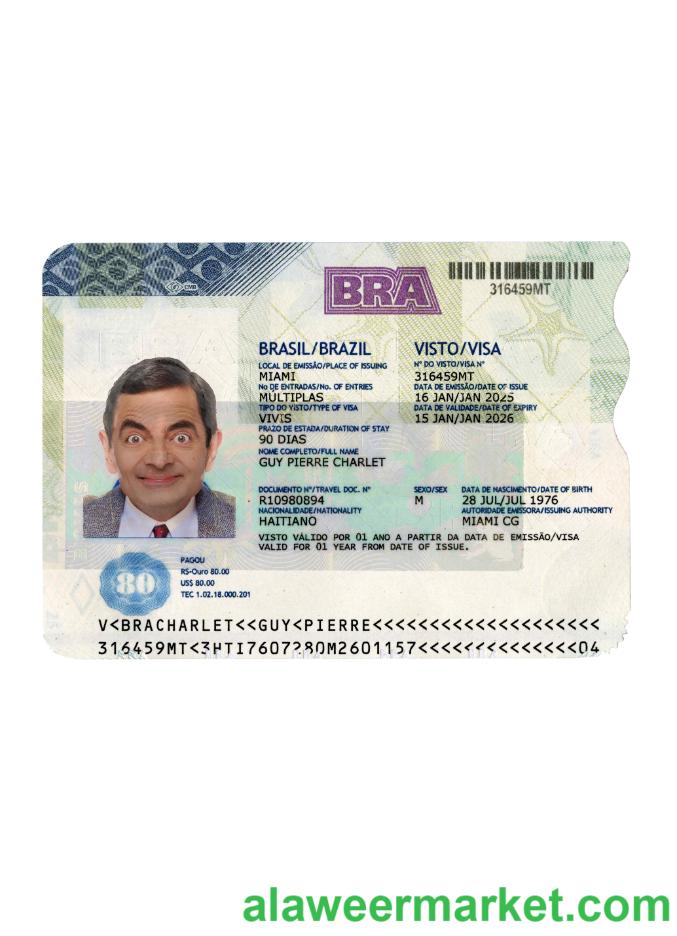 Brazil travel visa 2025-present